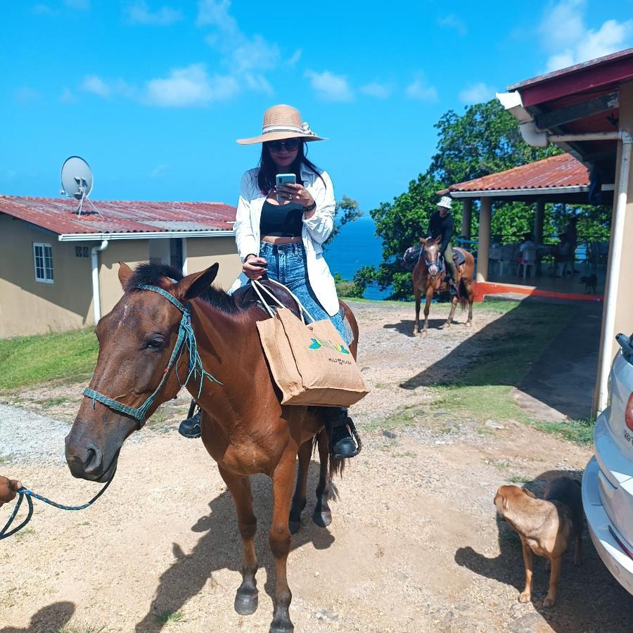Rancho Juancho Portobelo Exterior foto